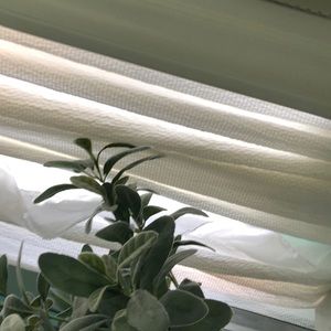 Meet your Posher, Juliet